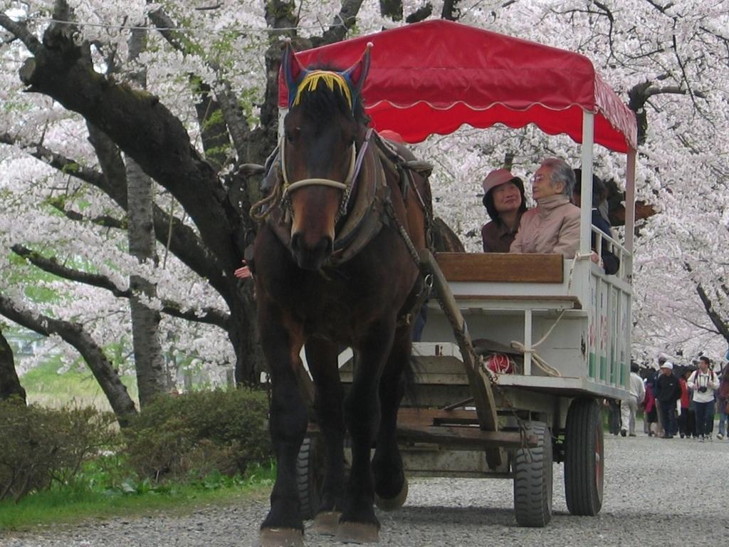Yamayuri No Yado Hanamaki Buitenkant foto